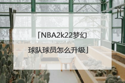 NBA2k22梦幻球队球员怎么升级