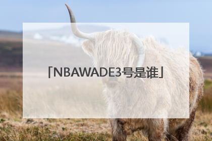 NBAWADE3号是谁