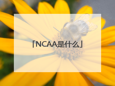 NCAA是什么