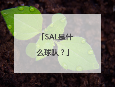 SAL是什么球队？