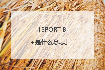 SPORT B+是什么意思