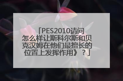 PES2010请问怎么样让斯科尔斯和贝克汉姆在他们最擅长的位置上发挥作用》？