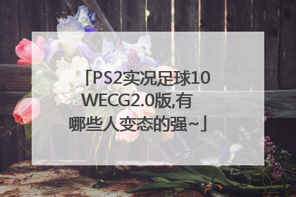 PS2实况足球10WECG2.0版,有哪些人变态的强~