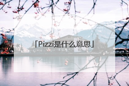 Pizzi是什么意思