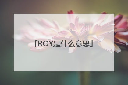 ROY是什么意思