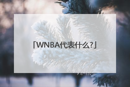 WNBA代表什么?