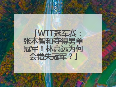 WTT冠军赛：张本智和夺得男单冠军！林高远为何会错失冠军？