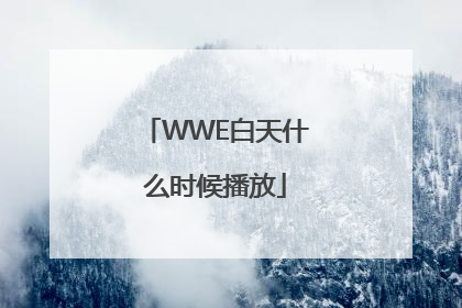 WWE白天什么时候播放