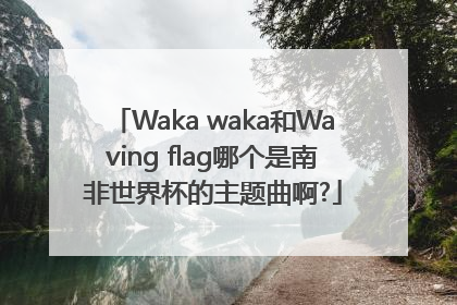 Waka waka和Waving flag哪个是南非世界杯的主题曲啊?