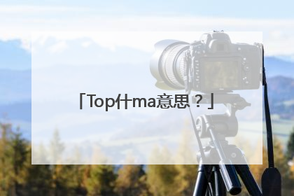 Top什ma意思？