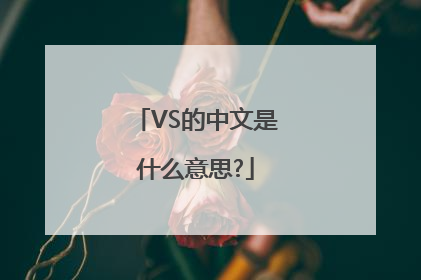 VS的中文是什么意思?