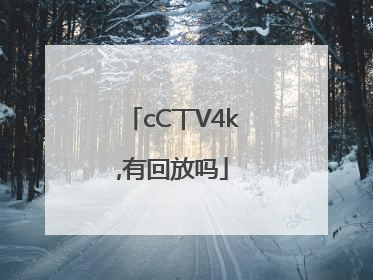 cC丅V4k,有回放吗