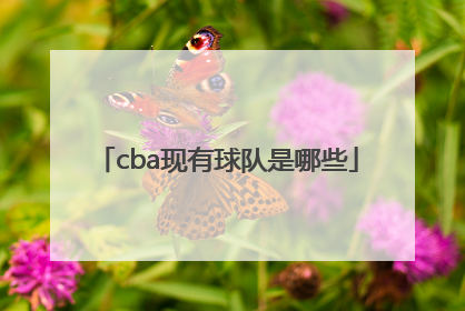 cba现有球队是哪些