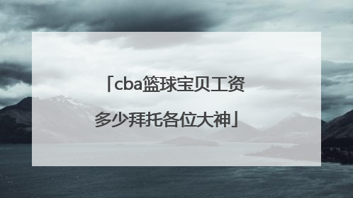 cba篮球宝贝工资多少拜托各位大神