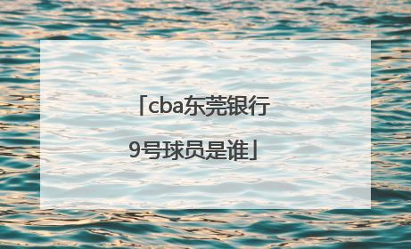 cba东莞银行9号球员是谁