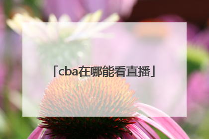 cba在哪能看直播