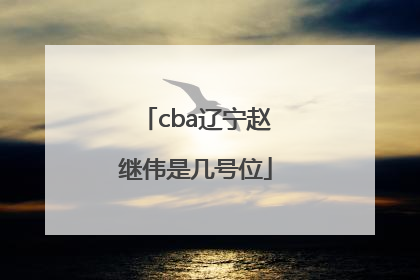 cba辽宁赵继伟是几号位