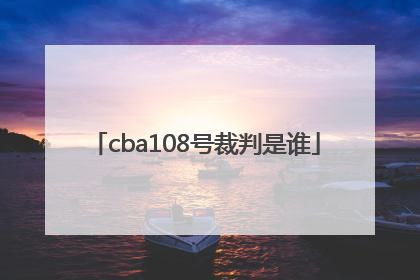 cba108号裁判是谁