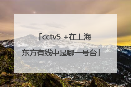 cctv5 +在上海东方有线中是哪一号台