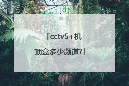 cctv5+机顶盒多少频道?