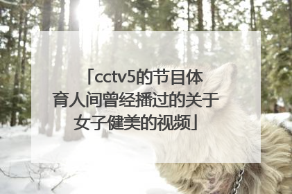 cctv5的节目体育人间曾经播过的关于女子健美的视频