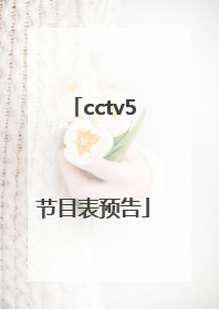 cctv5节目表预告