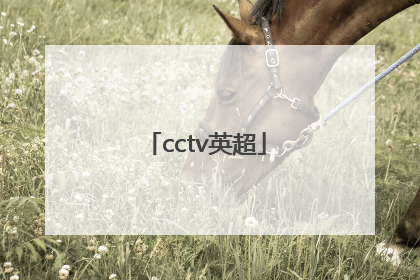 「cctv英超」cctv英超精华