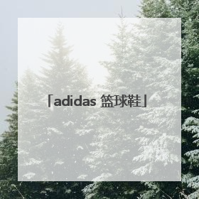 「adidas 篮球鞋」adidas 篮球鞋评测