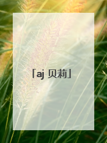 「aj 贝莉」aj贝莉车牌