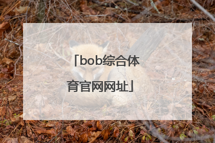 「bob综合体育官网网址」bob综合体育投注官网入口