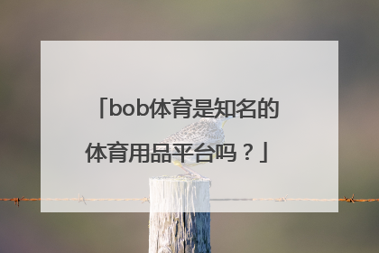 bob体育是知名的体育用品平台吗？