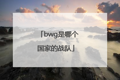 bwg是哪个国家的战队