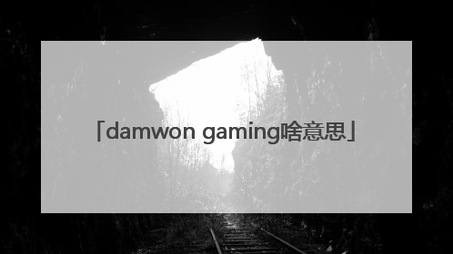 damwon gaming啥意思