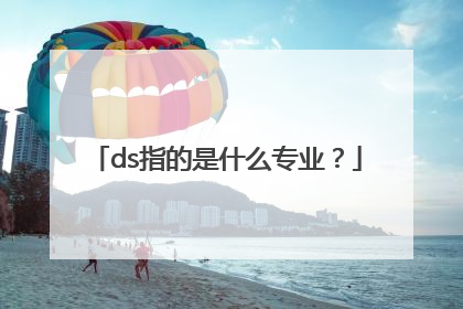 ds指的是什么专业？