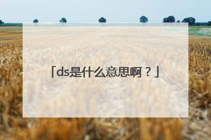 ds是什么意思啊？