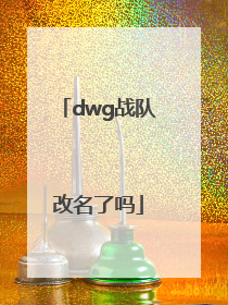 dwg战队改名了吗