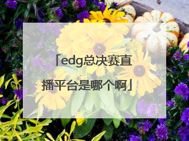 edg总决赛直播平台是哪个啊