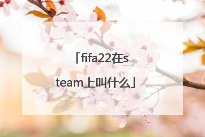 fifa22在steam上叫什么