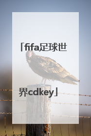 「fifa足球世界cdkey」fifa足球世界cdkey兑换码大全