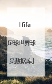 「fifa足球世界球员数据库」FIFA足球世界球员对比