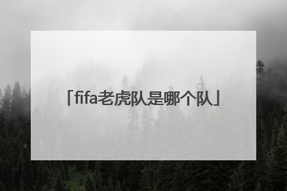 fifa老虎队是哪个队