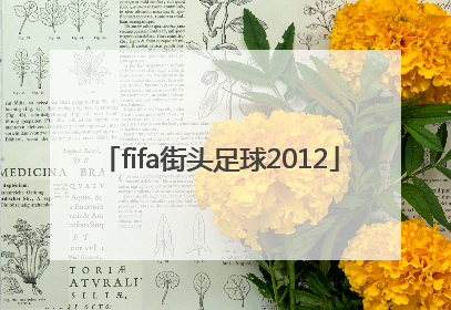 「fifa街头足球2012」fifa街头足球模式