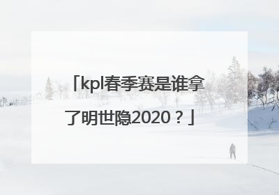 kpl春季赛是谁拿了明世隐2020？