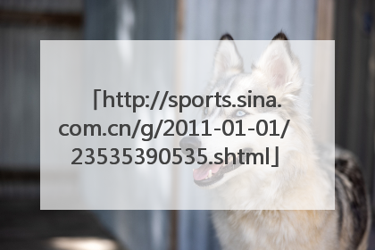 http://sports.sina.com.cn/g/2011-01-01/23535390535.shtml