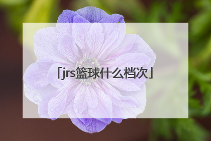 「jrs篮球什么档次」jrs篮球是什么档次的牌子