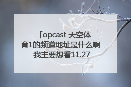 opcast 天空体育1的频道地址是什么啊 我主要想看11.27 超级联赛丁俊晖对亨得利直播 急！！！！