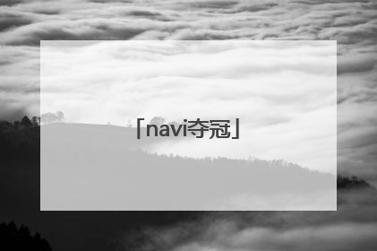 「navi夺冠」navi夺冠的高清图