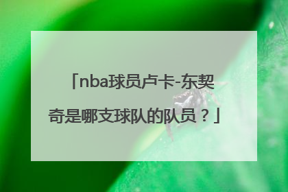 nba球员卢卡-东契奇是哪支球队的队员？