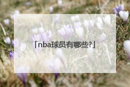 nba球员有哪些?