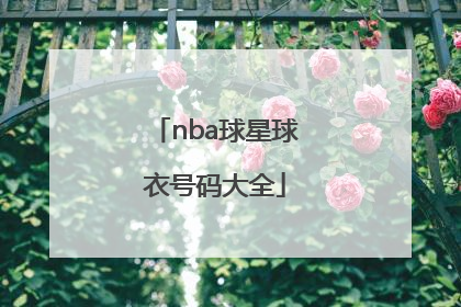 「nba球星球衣号码大全」nba球星球衣号码大全4到21